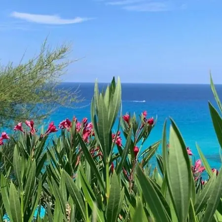 Boutique Apartment With Beach Nearby Tropea Swimming Pool Open In July And August